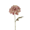 FLOR DAHLIA