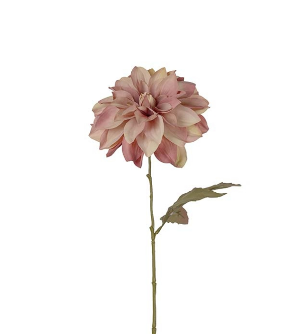 FLOR DAHLIA - Image 2