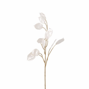 LUNARIA