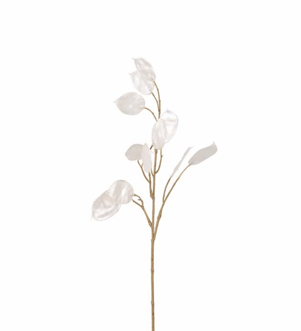 LUNARIA