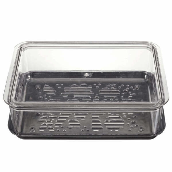 CAJA CONSERVA FRUTA - Imagen 3