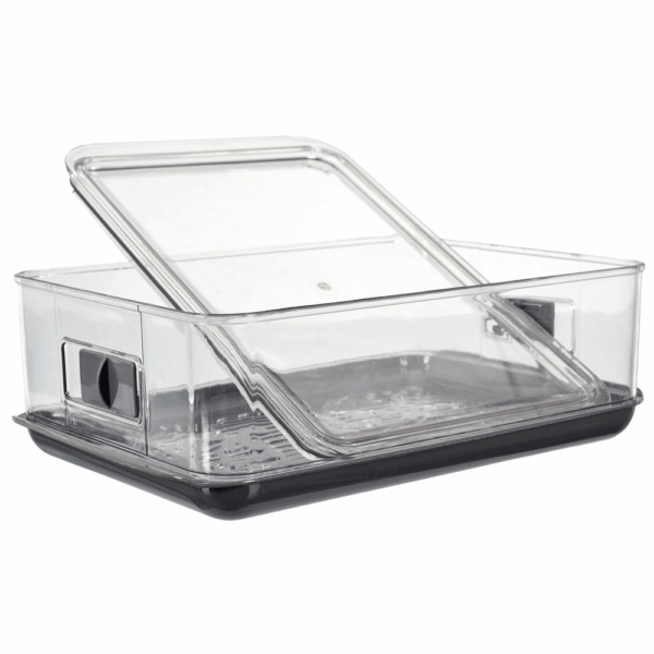 CAJA CONSERVA FRUTA - Imagen 4