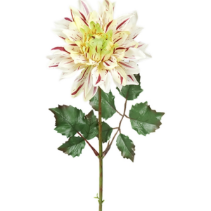 FLOR DAHLIA