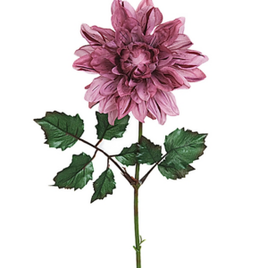 FLOR DAHLIA